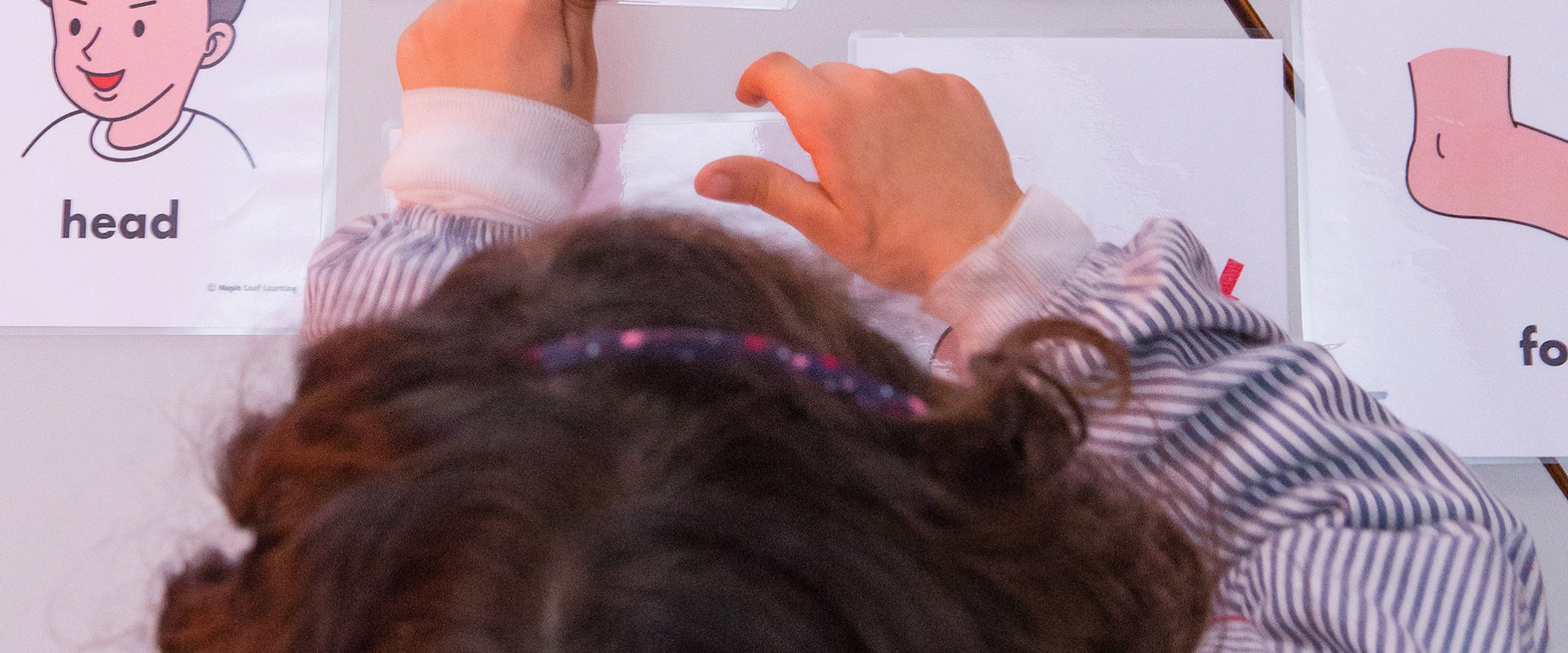 Educación Infantil - 1r ciclo