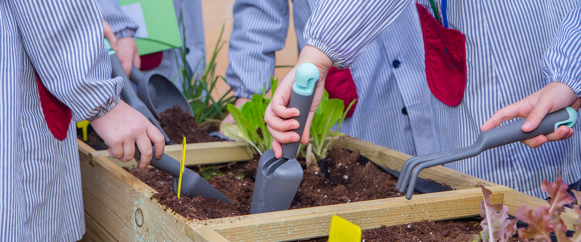 Educación Infantil - 1r ciclo