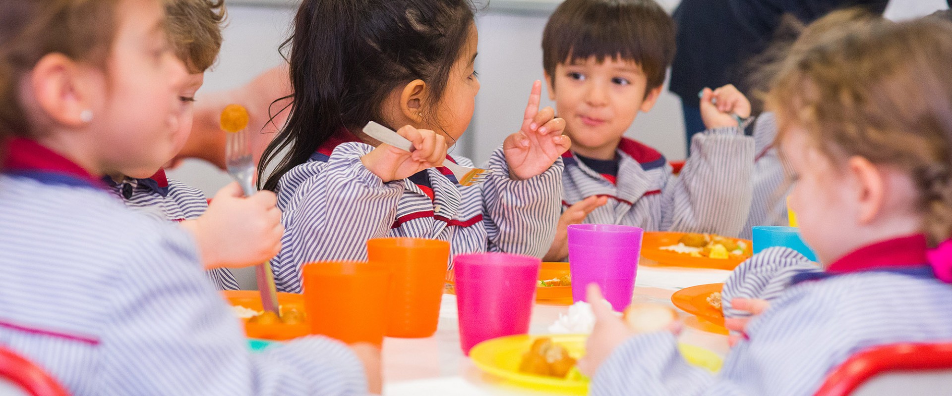 Educación Infantil - 1r ciclo
