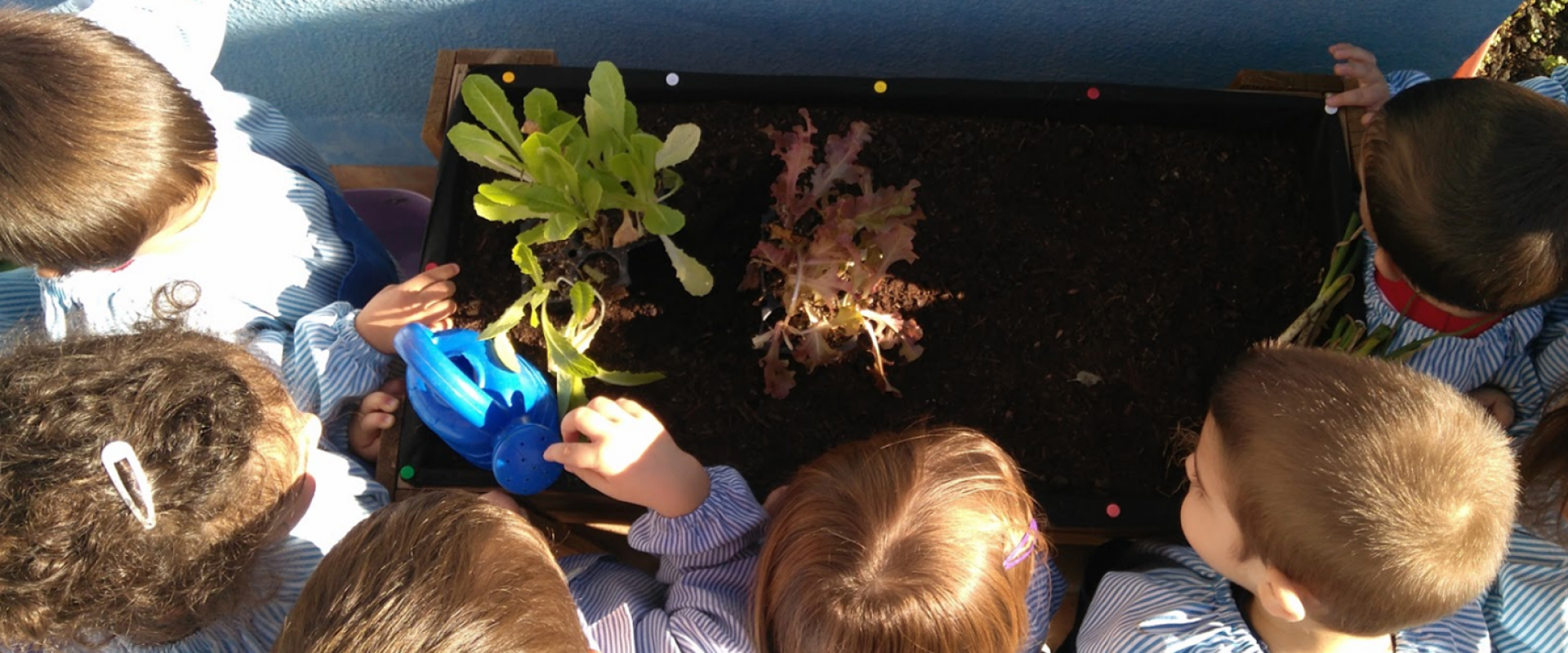 Proyectos de trabajo