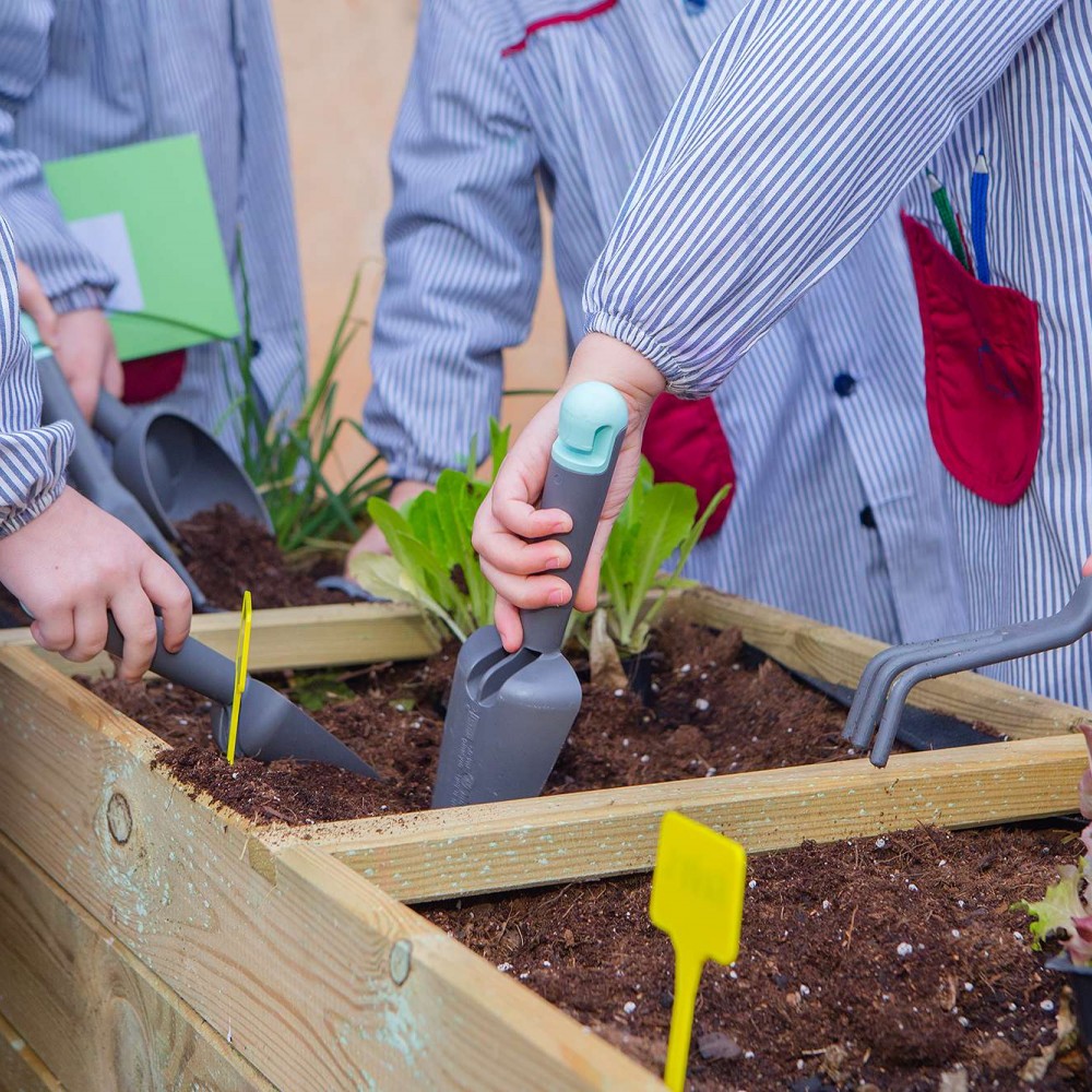 Educación Infantil - 2º ciclo