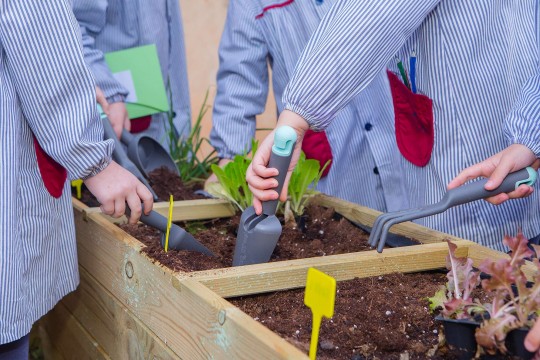 Educación Infantil - 2º ciclo
