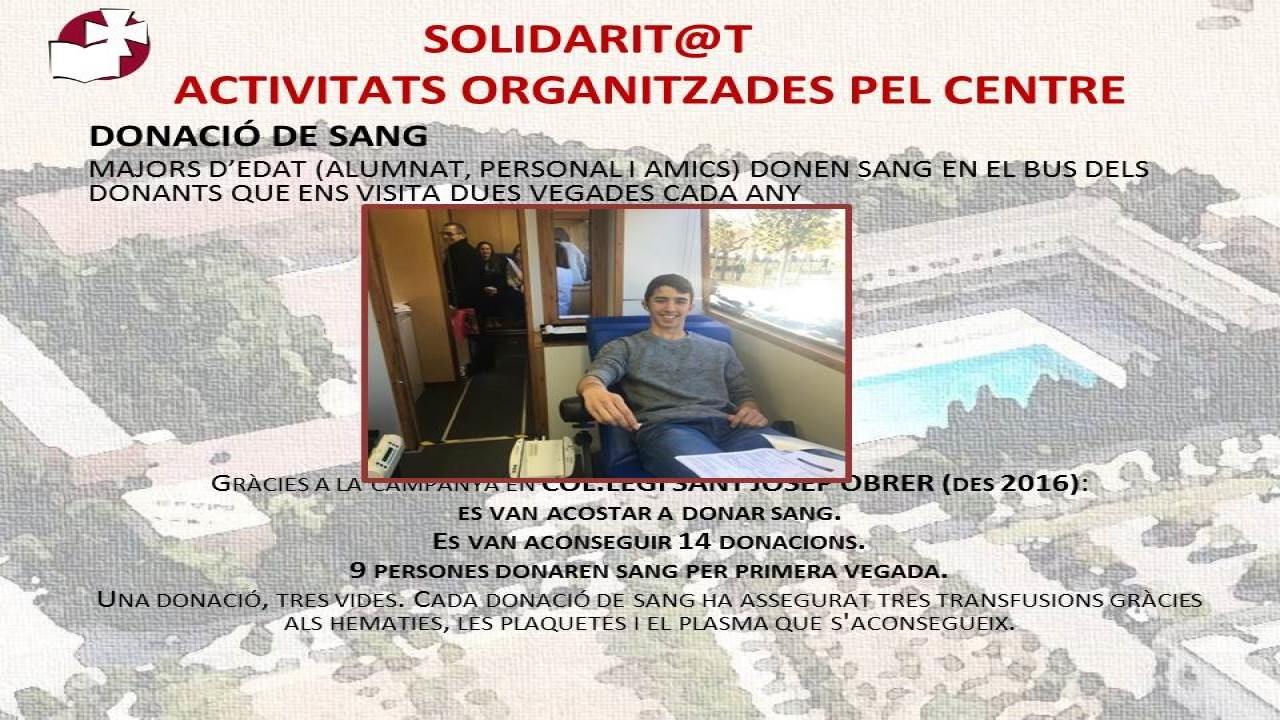 Solidaridad
