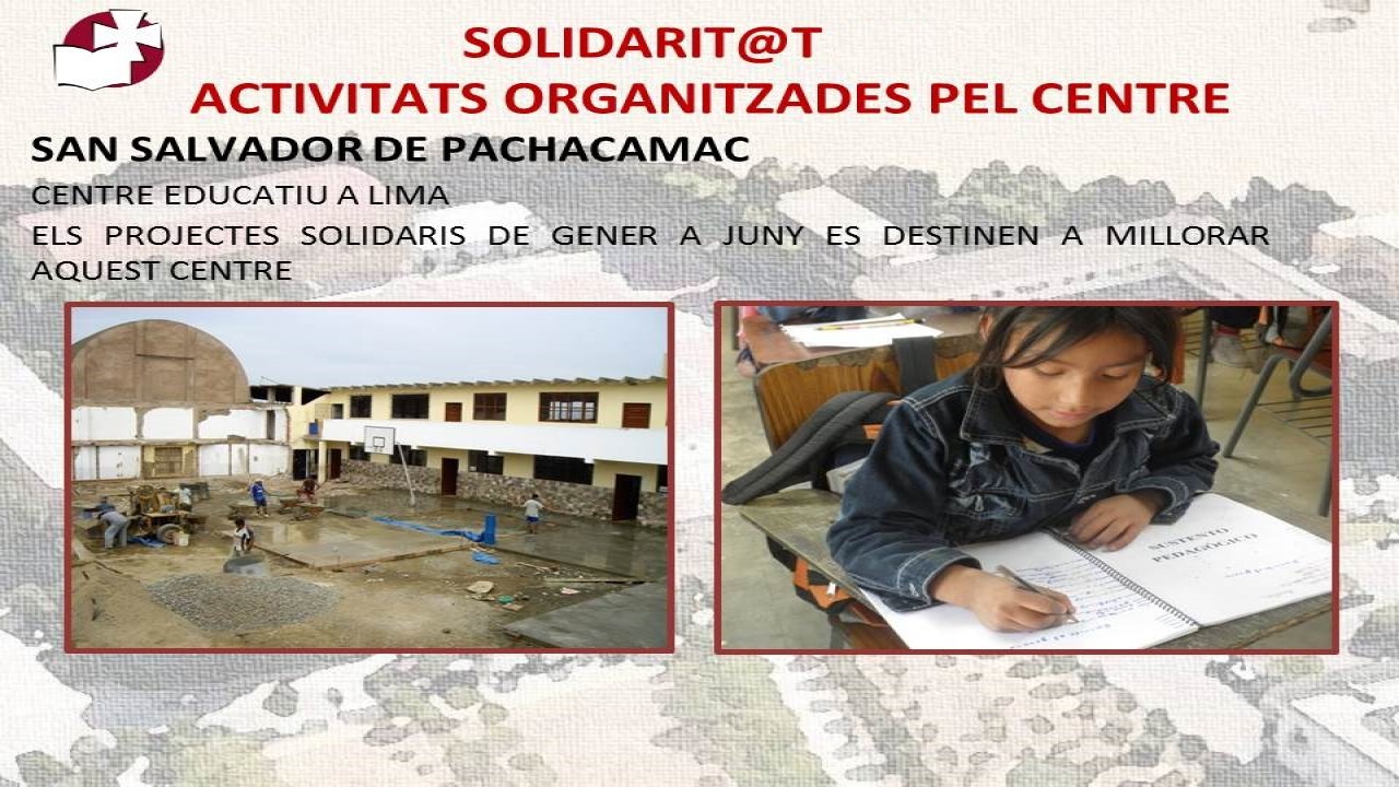 Solidaridad