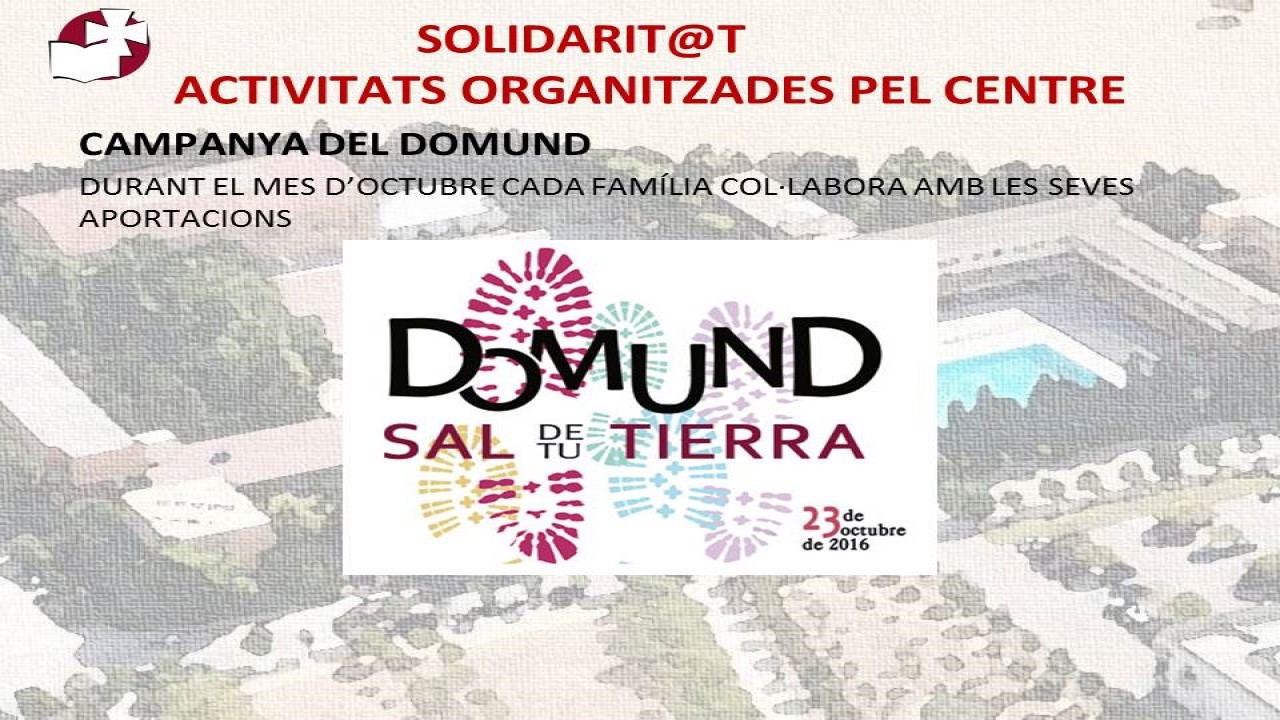 Solidaridad