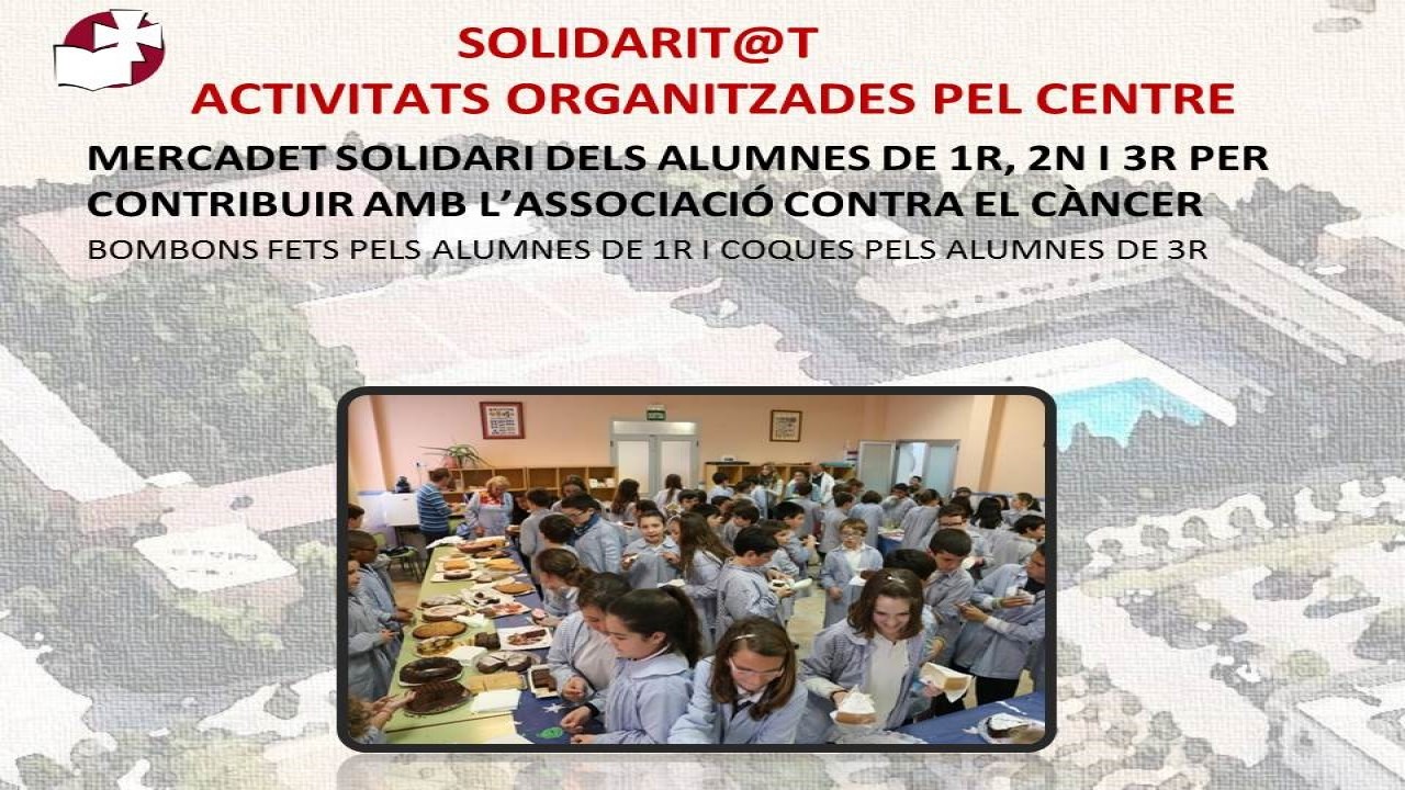 Solidaridad